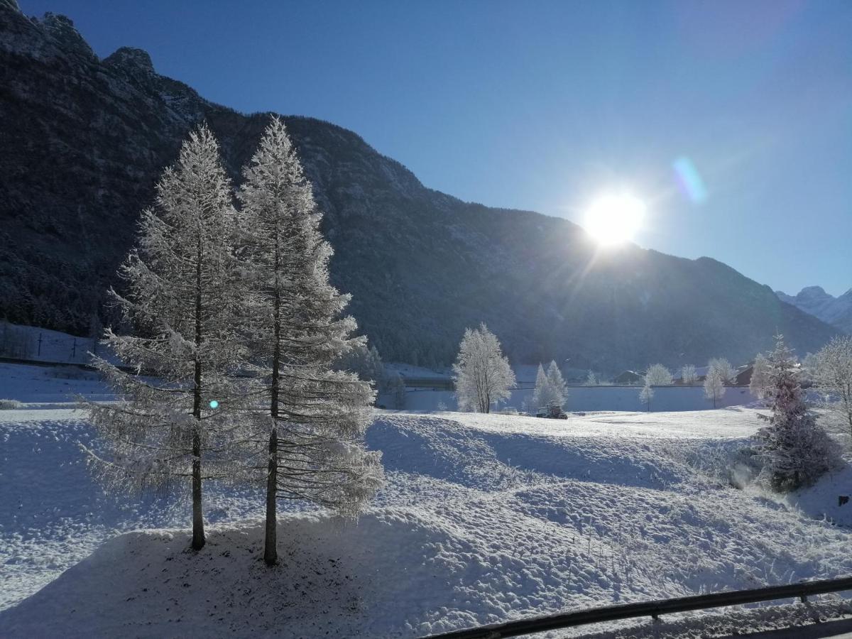 فندق Ai Larici Perarolo di Cadore المظهر الخارجي الصورة